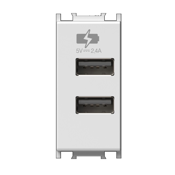 Alimentatore 5v 2 USB 2,4A 1 Modulo Bianco